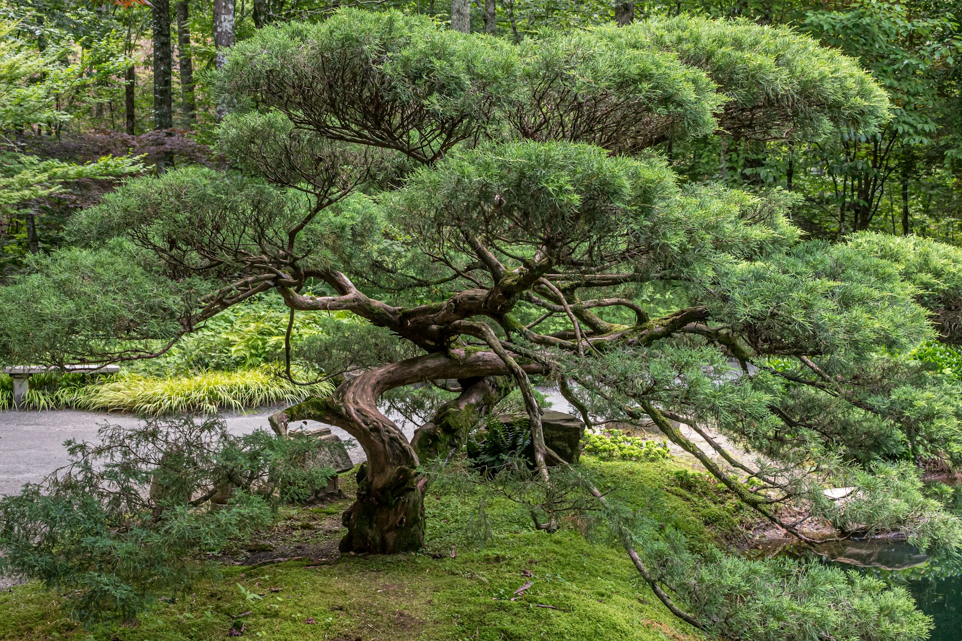 Melvarondra meditacija
